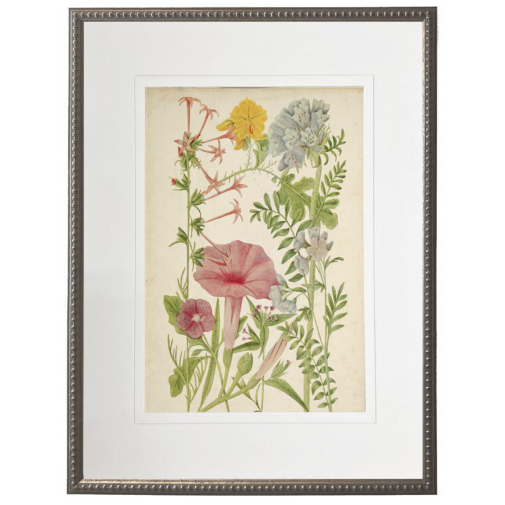 Vintage Wildflower Bookplate With Cream Matte Framed Wall Art - The Well Appointed House