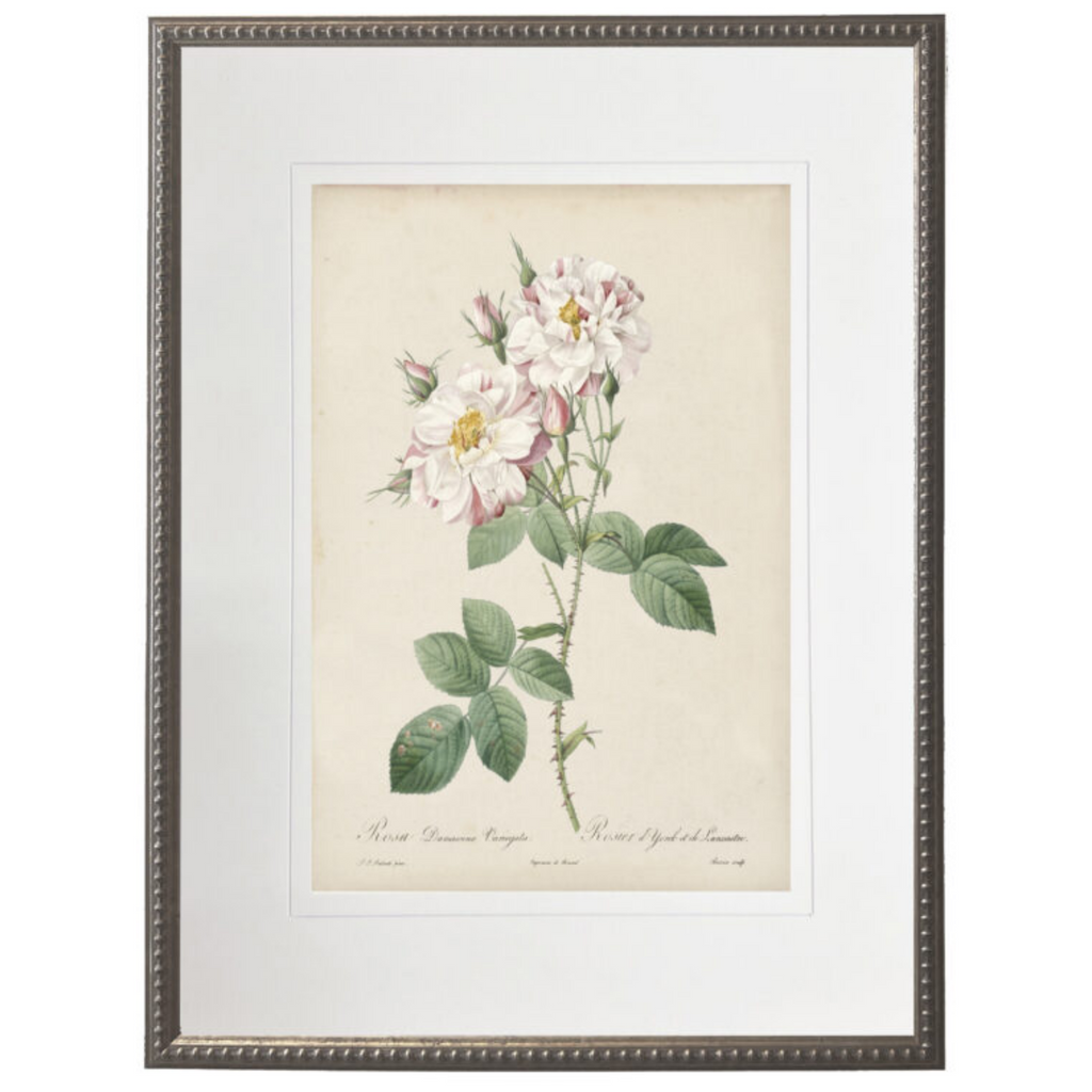 Vintage Pink Rose Stems With Cream Matte Framed Wall Art - The Well Appointed House