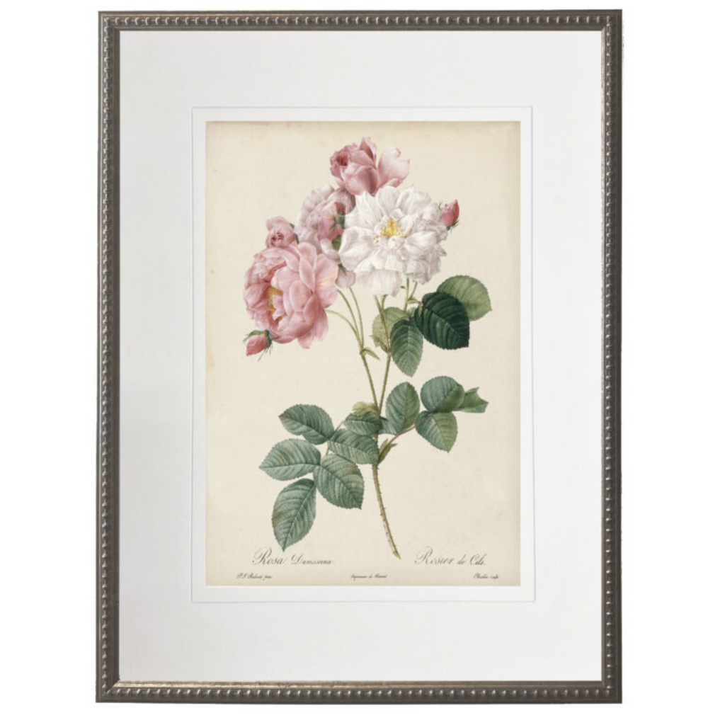 Vintage Pink & White Roses With Cream Matte Framed Wall Art - The Well Appointed House