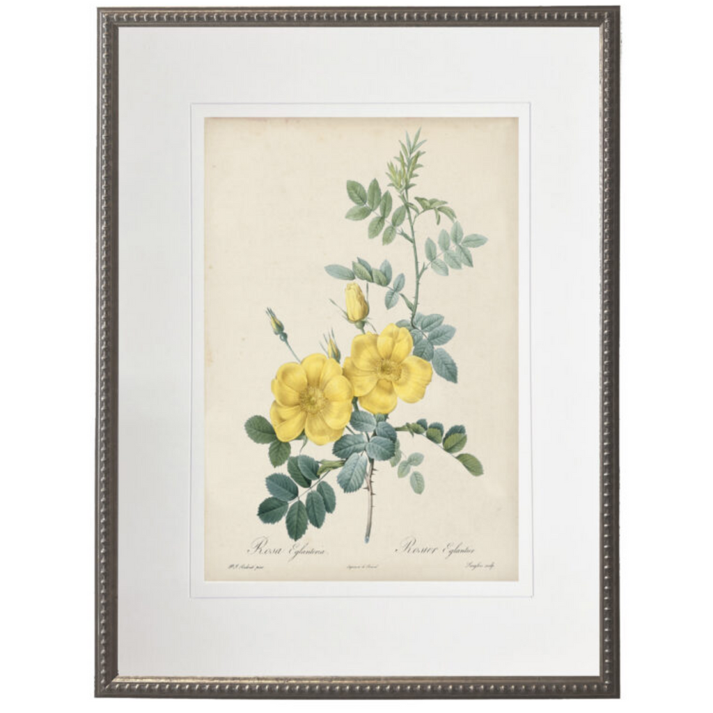 Vintage Yellow Roses With Cream Matte Framed Wall Art - The Well Appointed House
