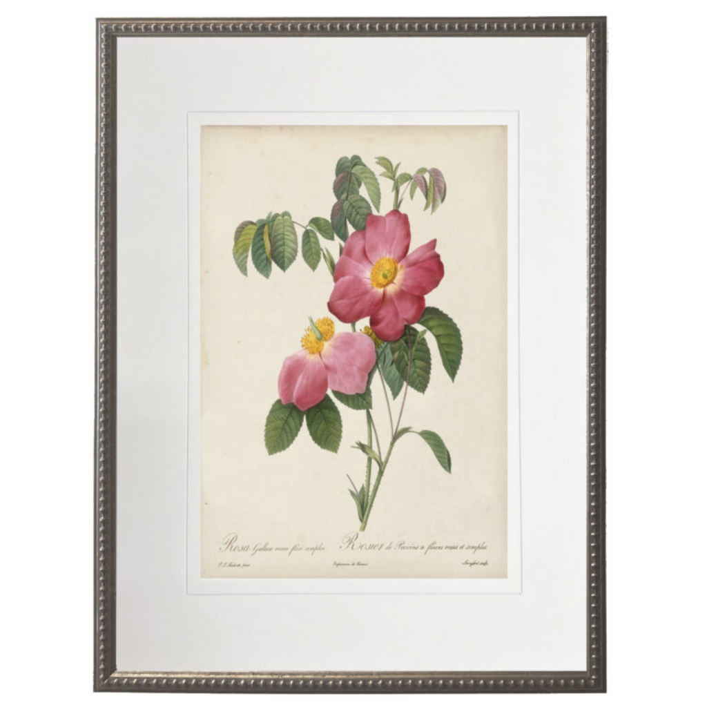 Vintage Pink Rose With Cream Matte Framed Wall Art - The Well Appointed House