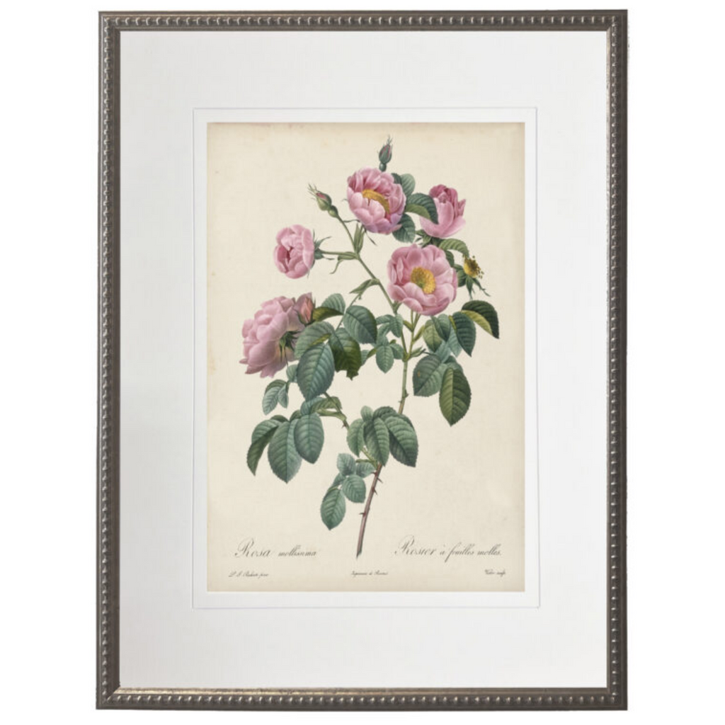 Vintage Pale Pink Rose With Cream Matte Framed Wall Art - The Well Appointed House