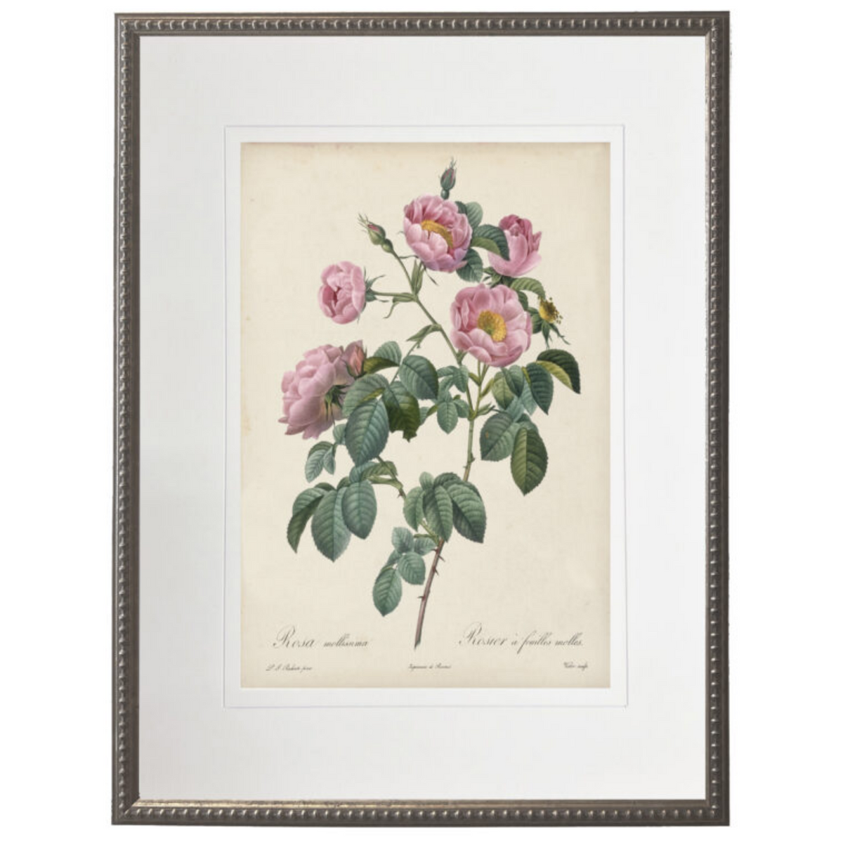 Vintage Pale Pink Rose With Cream Matte Framed Wall Art – The Well ...