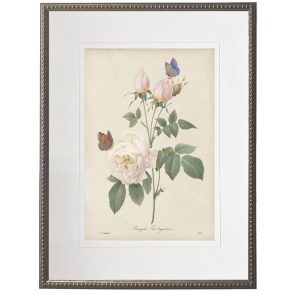 Vintage White Rose With Cream Matte Framed Wall Art – The Well
