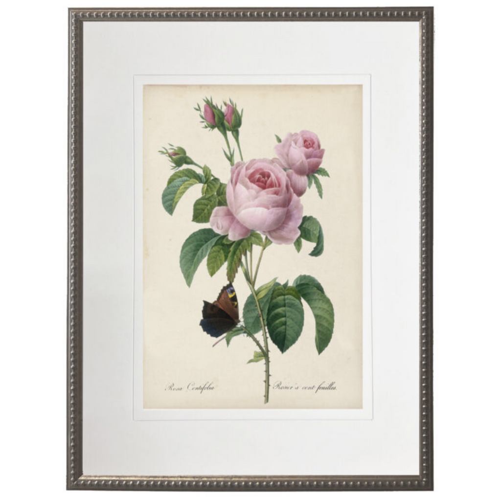 Vintage Pink Roses With Cream Matte Framed Wall Art - The Well Appointed House