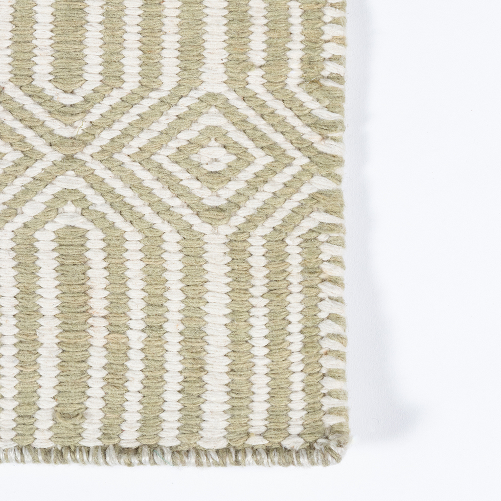 Newton Holden Green Hand Woven Recycled Plastic Indoor Outdoor Rug - The Well Appointed House
