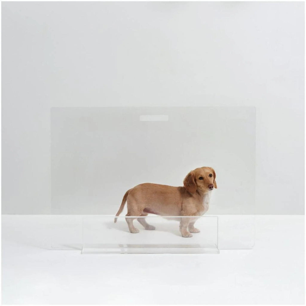 30" Clear Freestanding Pet Gate Panel - Pet Accessories - The Well Appointed House