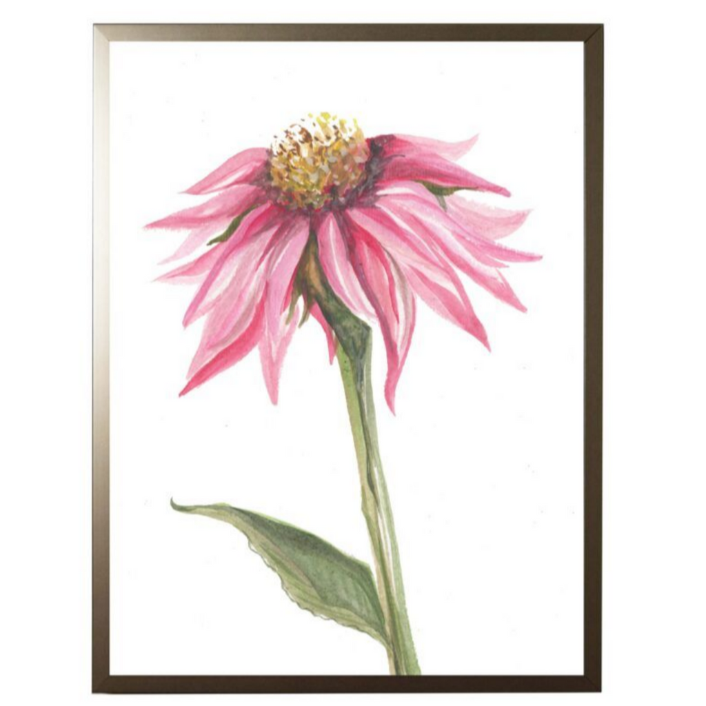 Watercolor Pink Coneflower Framed Wall Art - The Well Appointed House