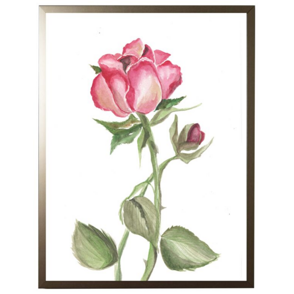 Watercolor Pink Rose Framed Wall Art - The Well Appointed House
