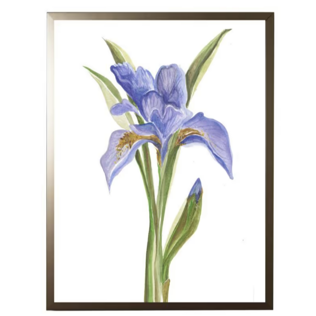 Watercolor Blue Iris Framed Wall Art- The Well Appointed House