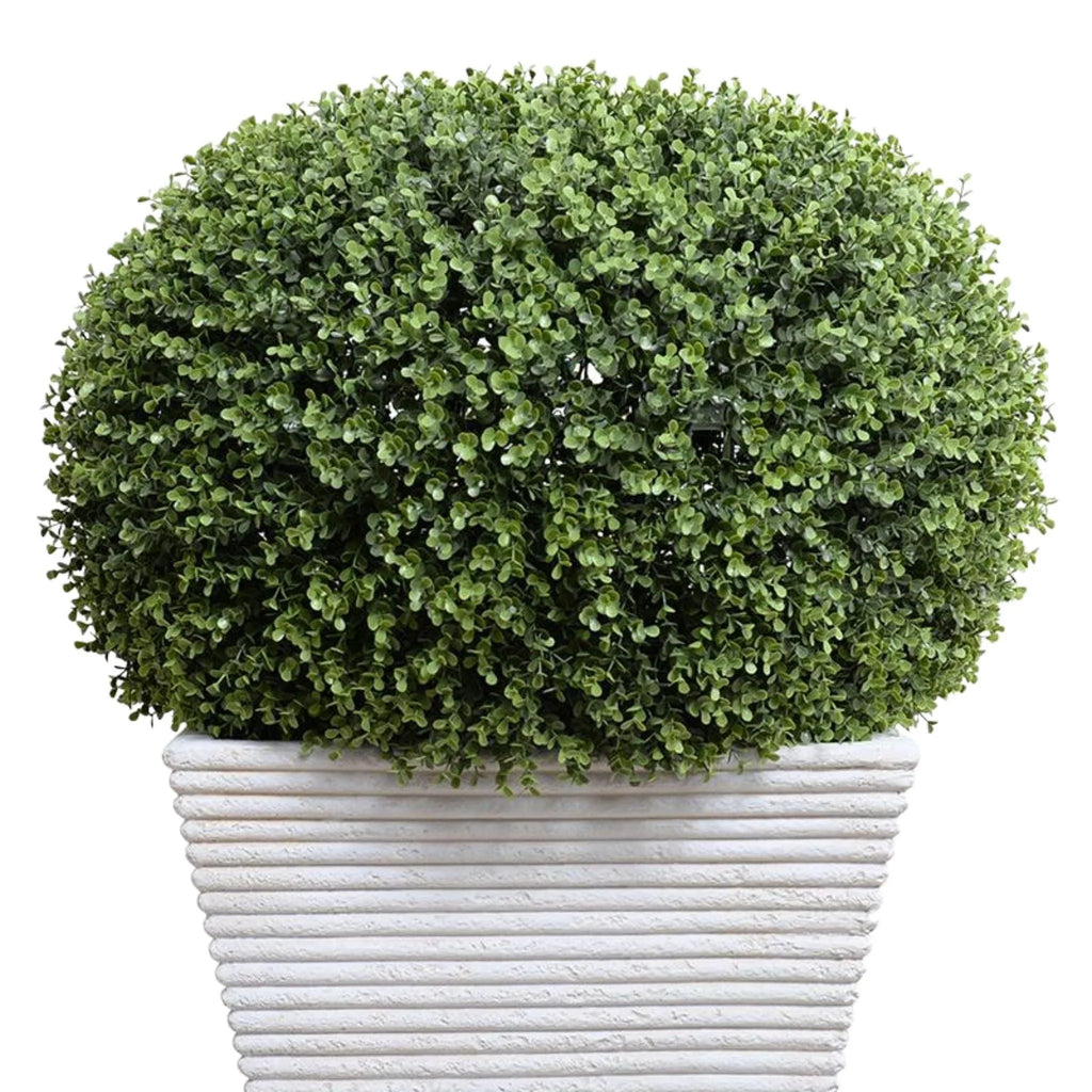 34" Pumpkin-Shaped Faux Boxwood Shrub in White Tapered Fiberglass - Florals & Greenery - The Well Appointed House