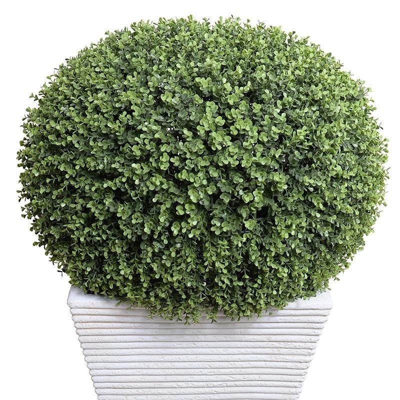 34" Pumpkin-Shaped Faux Boxwood Shrub in White Tapered Fiberglass - Florals & Greenery - The Well Appointed House