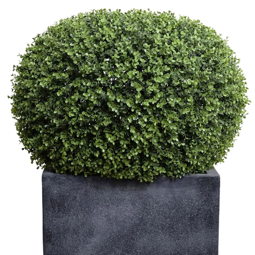 34" Tall Faux Pumpkin-Shaped Boxwood Shrub in Grey Cube Fiberglass - Florals & Greenery - The Well Appointed House