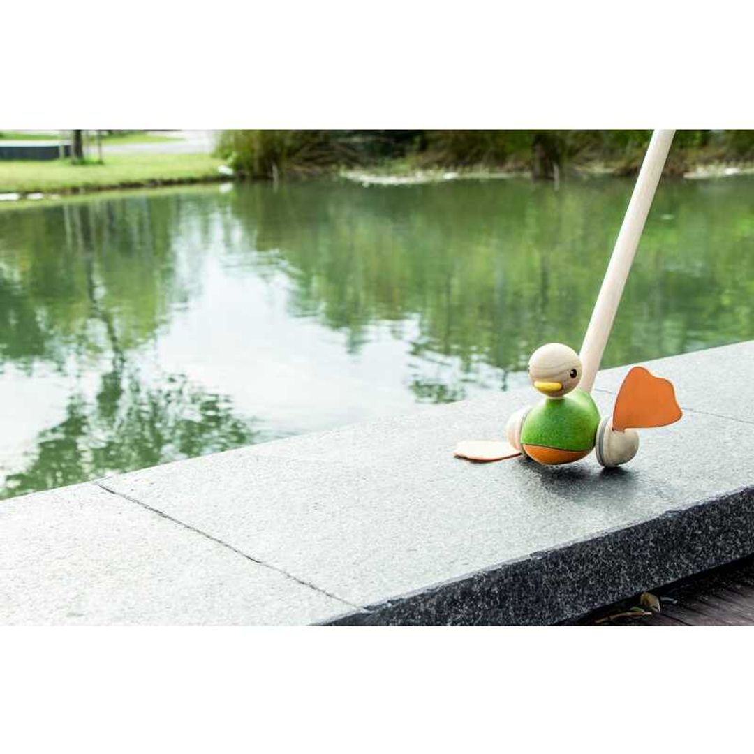 Push Along Duck main image 1