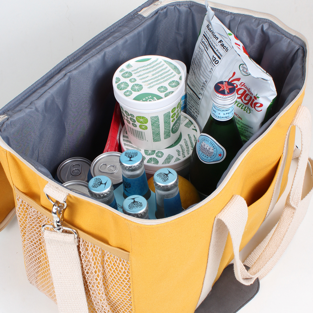 Insulated Picnic Cooler - THE WELL APPOINTED HOUSE
