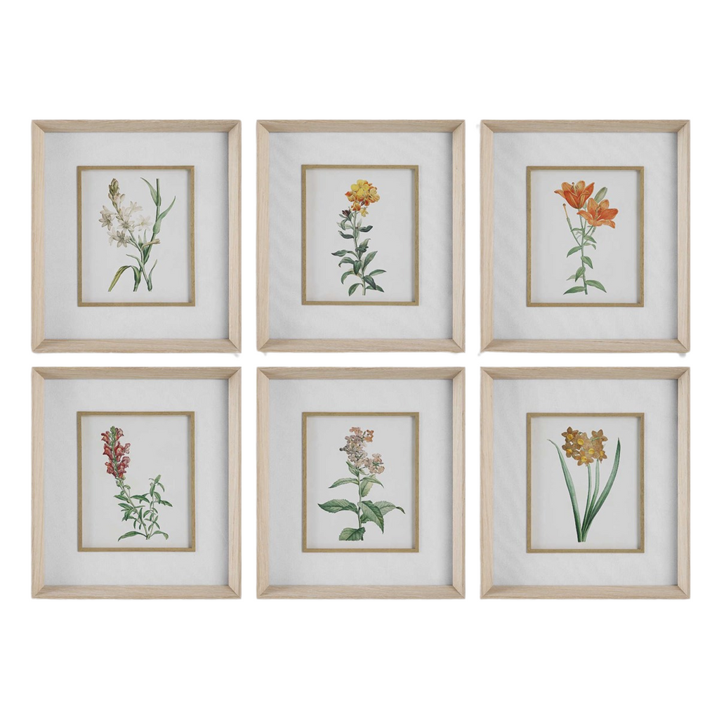 Classic Botanicals Framed Prints, Set of 6 - The Well Appointed House