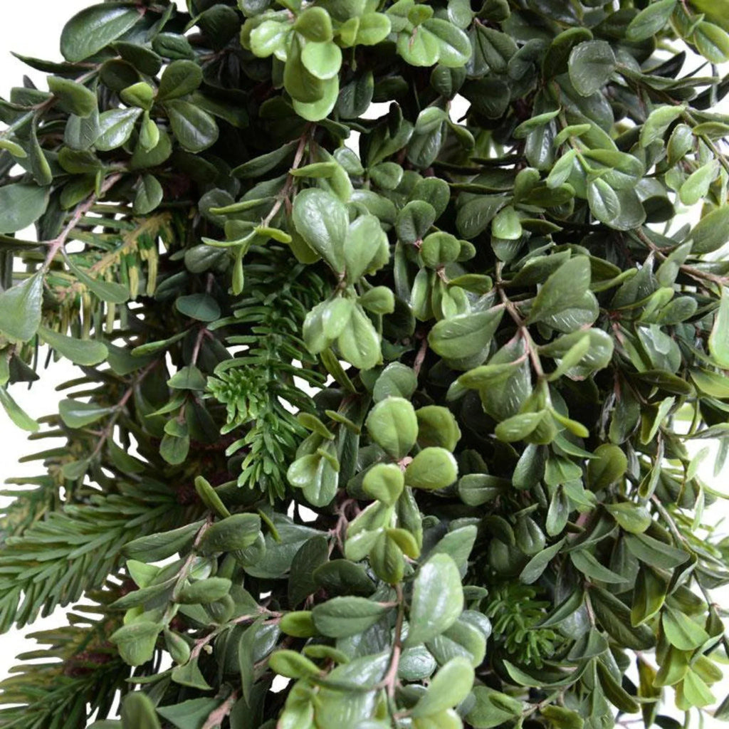 6' Boxwood and Fir Holiday Garland - Florals & Greenery - The Well Appointed House