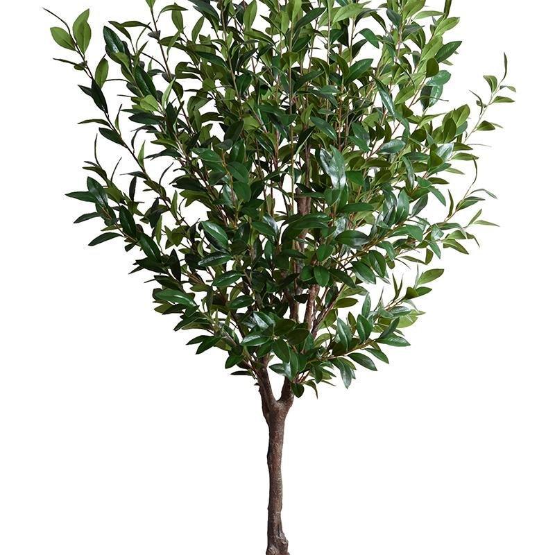 8' Tall Faux Camellia Tree - Florals & Greenery - The Well Appointed House