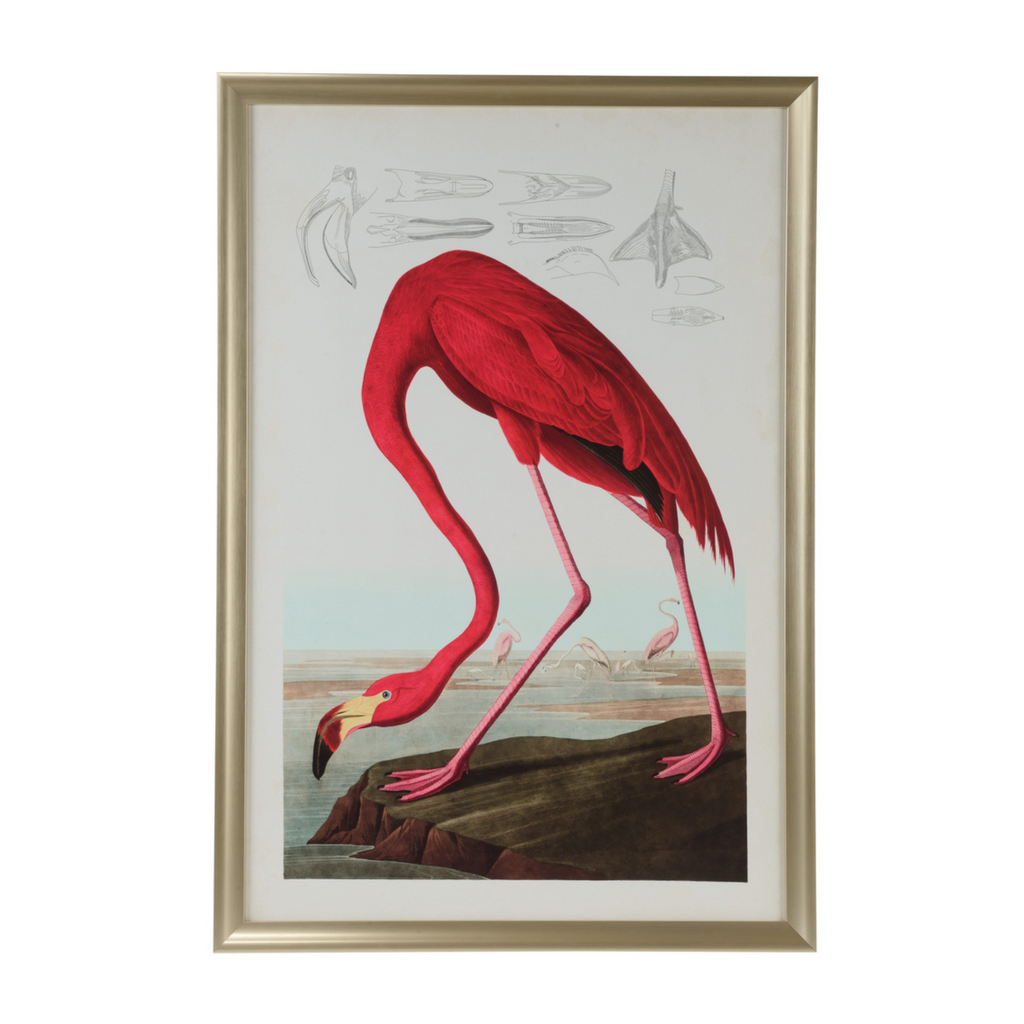 American Flamingo Giclee Print Wall Art - The Well Appointed House