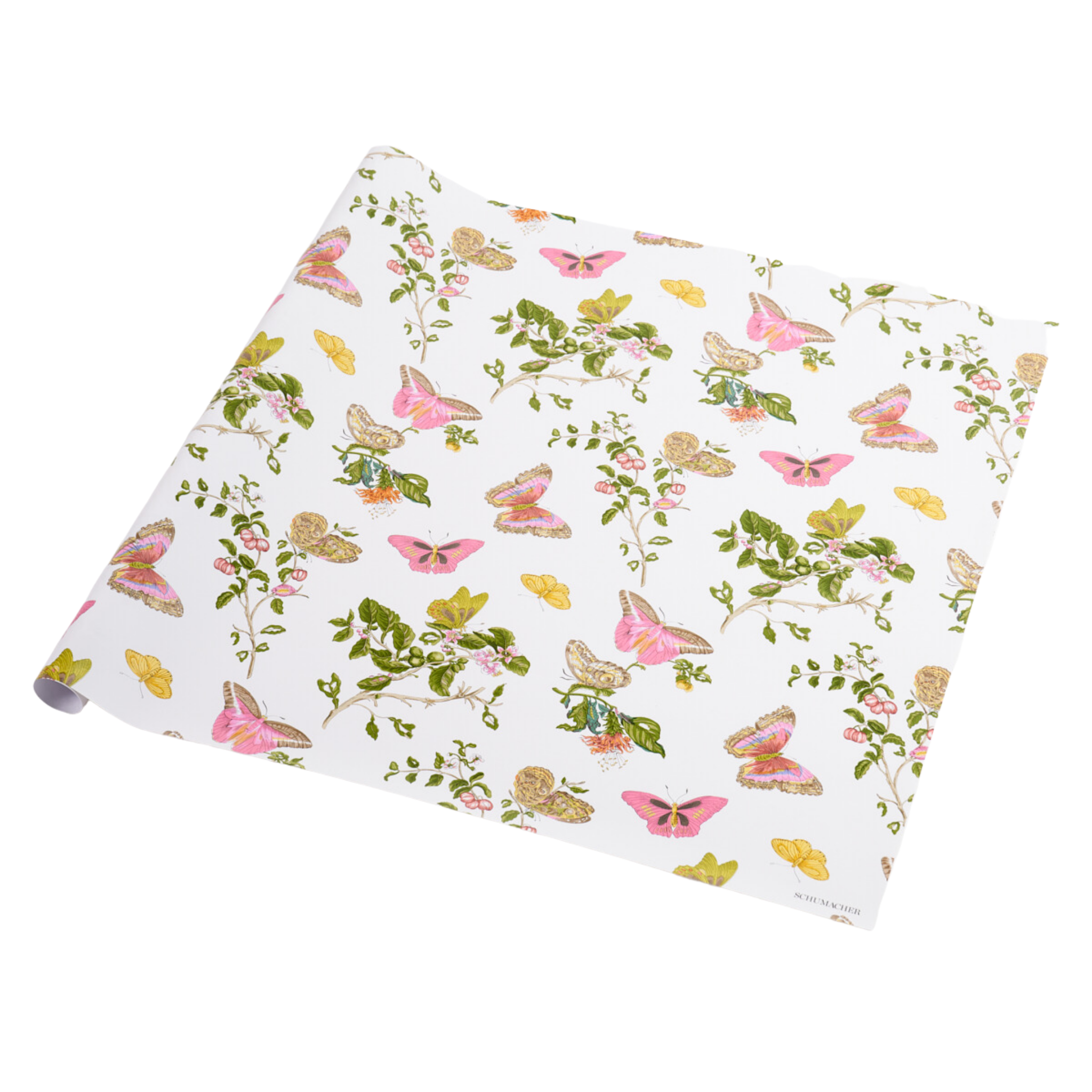 Baudin Butterfly Wrapping Paper – The Well Appointed House