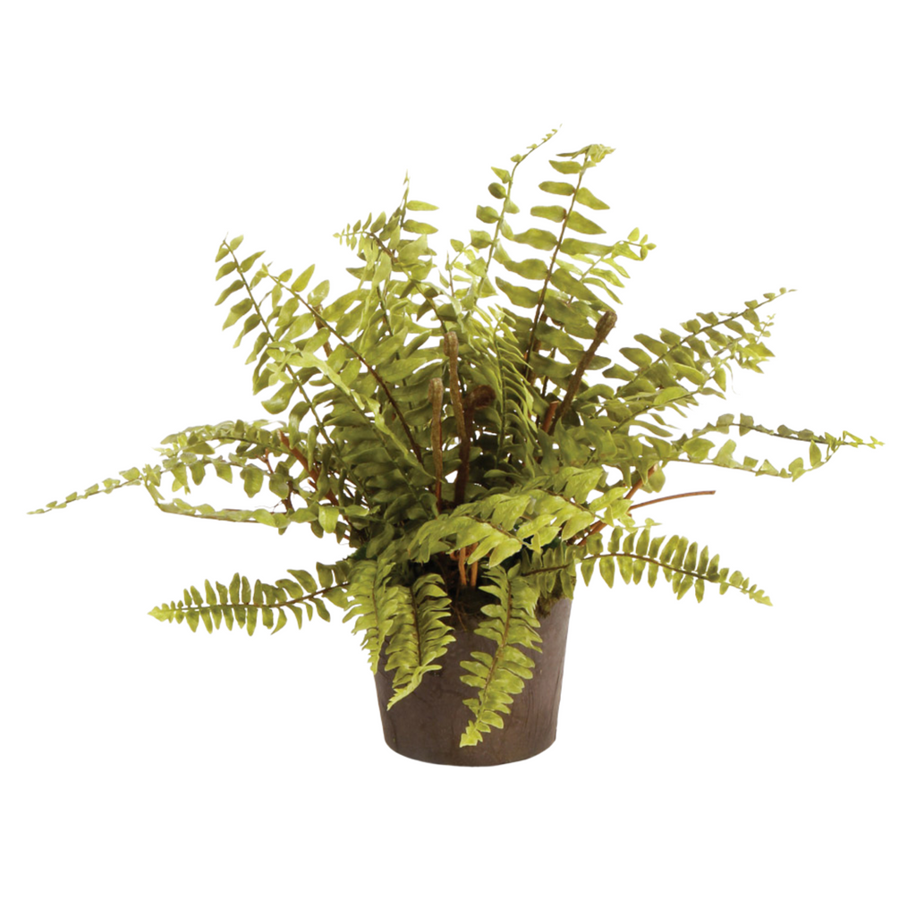 12" Faux Boston Fern Drop-In - The Well Appointed House