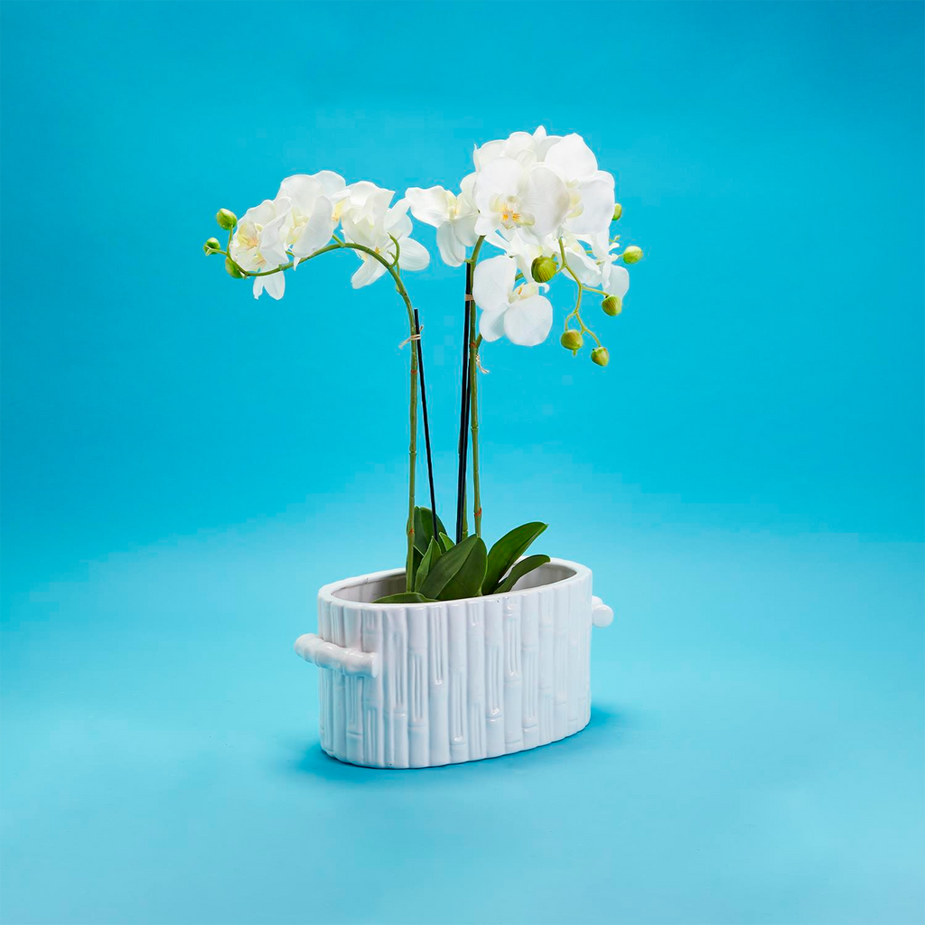 Faux Bamboo Oval Centerpiece Cachepot with Handles - The Well Appointed House