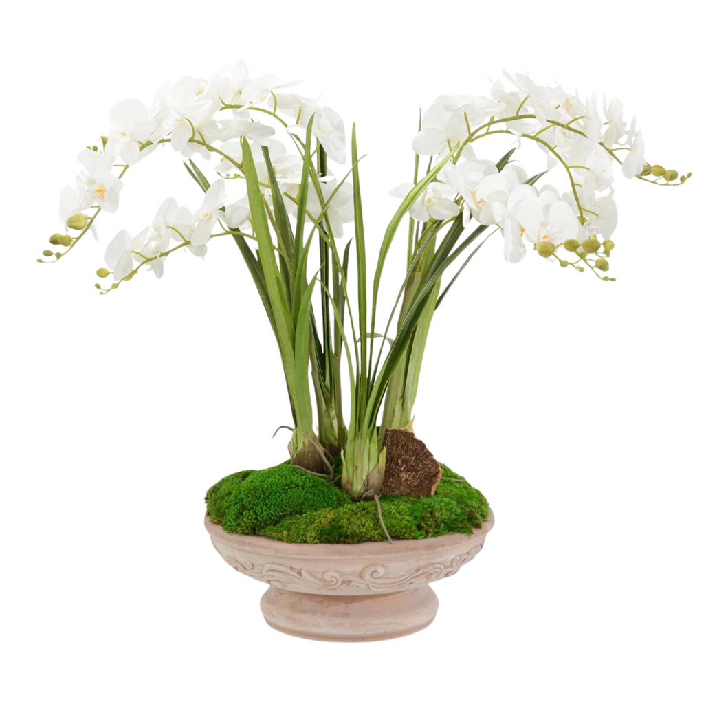 Faux White Phalaenopsis Orchids in Pedestal Bowl - The Well Appointed House
