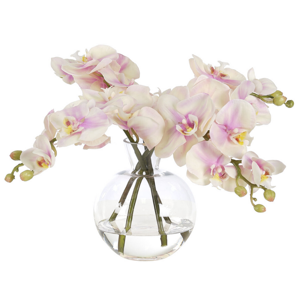 11" Faux Pink & Cream Orchid Phalaenopsis in a Glass Bubble Vase - The Well Appointed House