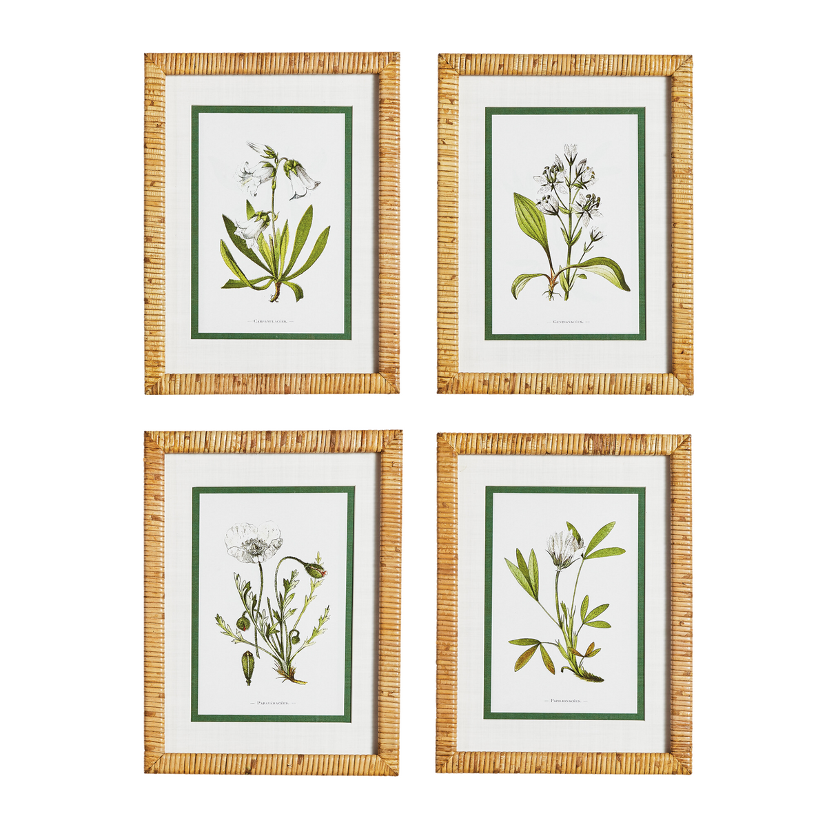 Set of Four Framed White Floral Study Prints Wall Art