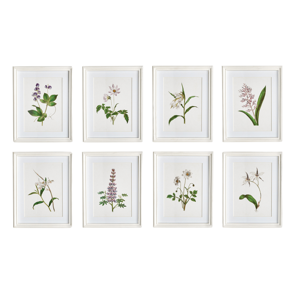 Set of Eight Petite Framed Flowers in Bloom Prints Wall Art - The Well Appointed House