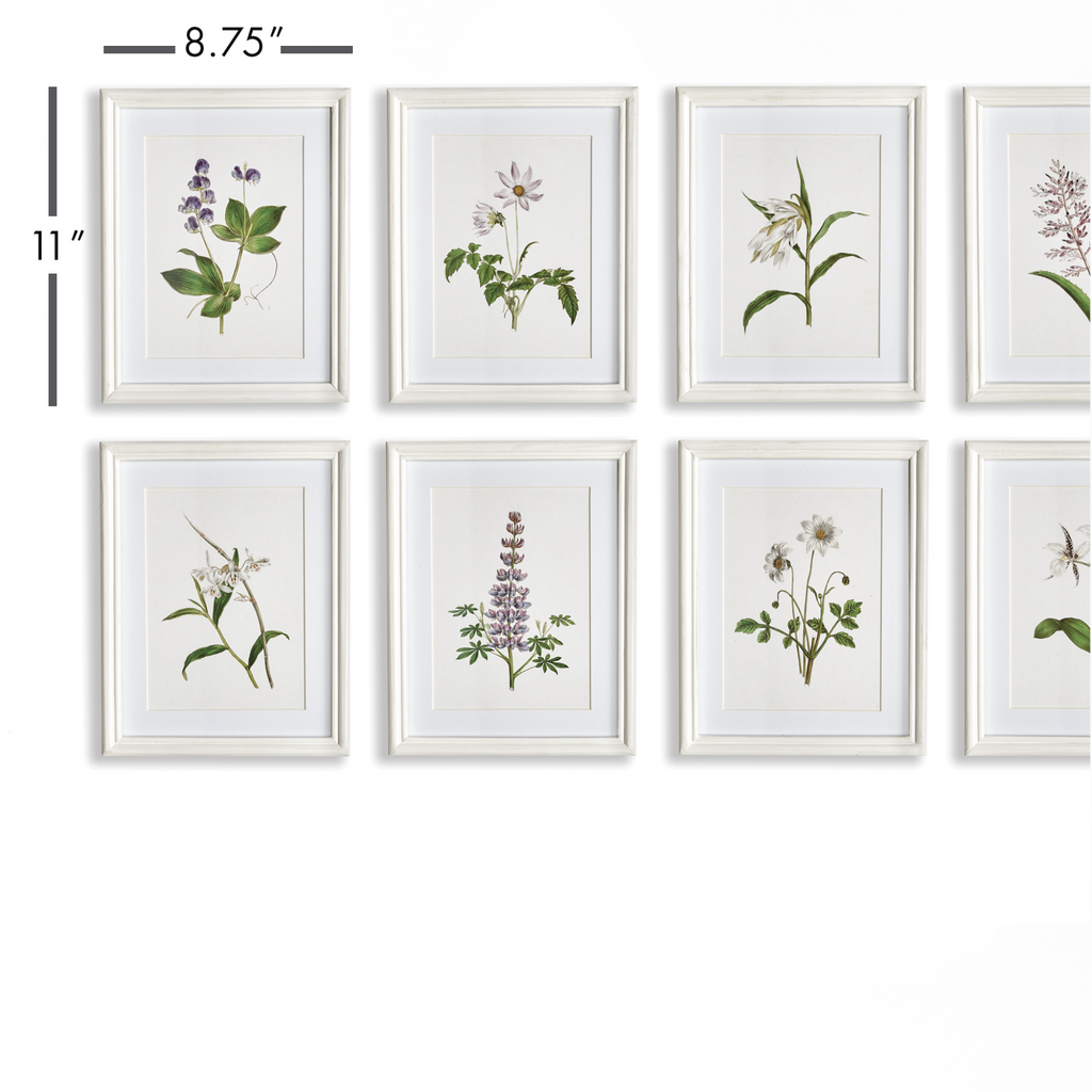 Set of Eight Petite Framed Flowers in Bloom Prints Wall Art - The Well Appointed House