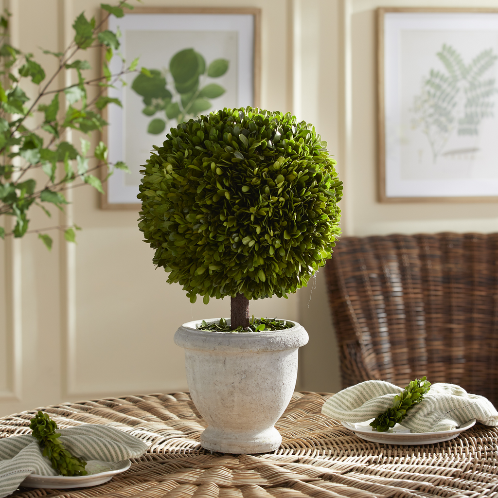 Faux Boxwood Single Ball Topiary in White Pot - Florals & Greenery - The Well Appointed House