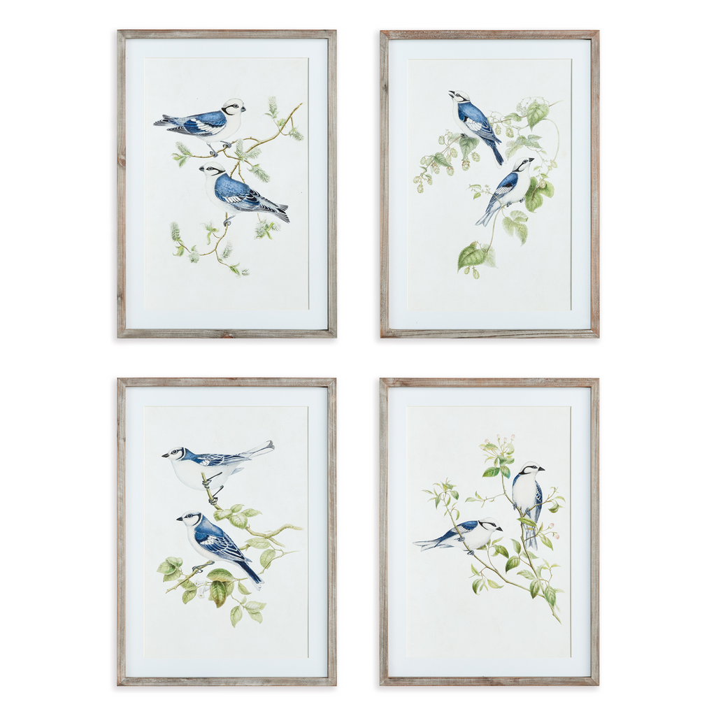 Set of Four Framed Blue Bird Prints Wall Art - The Well Appointed House