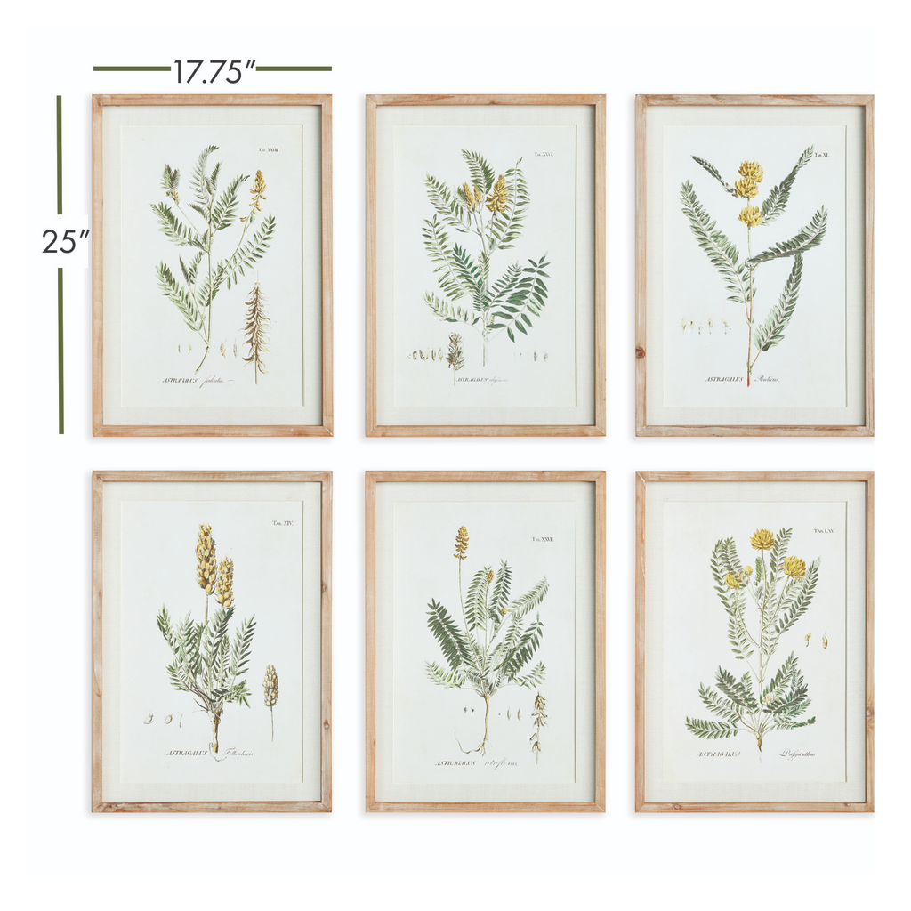 Set of Six Framed Mid-Summer Blooms Prints Wall Art - The Well Appointed House