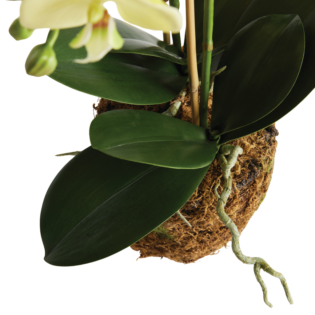 30" Faux Phalaenopsis Orchid Drop In - The Well Appointed House