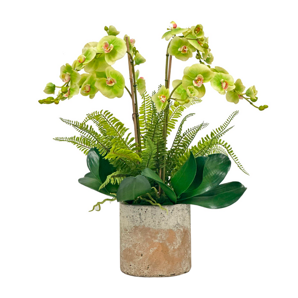 Orchid Fern Brooks Pot 24″ – The Well Appointed House