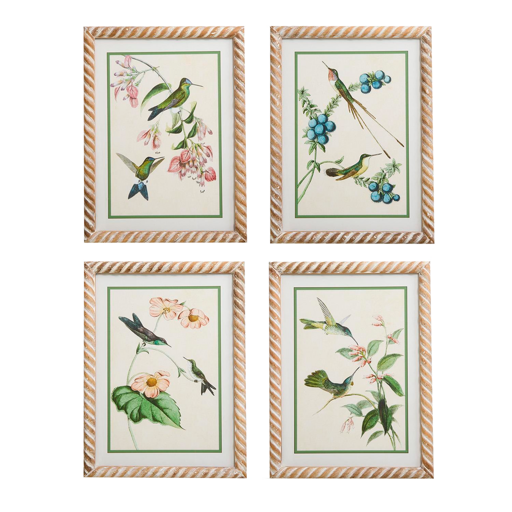 S4 Hummingbird Framed Wall Art Prints - The Well Appointed House