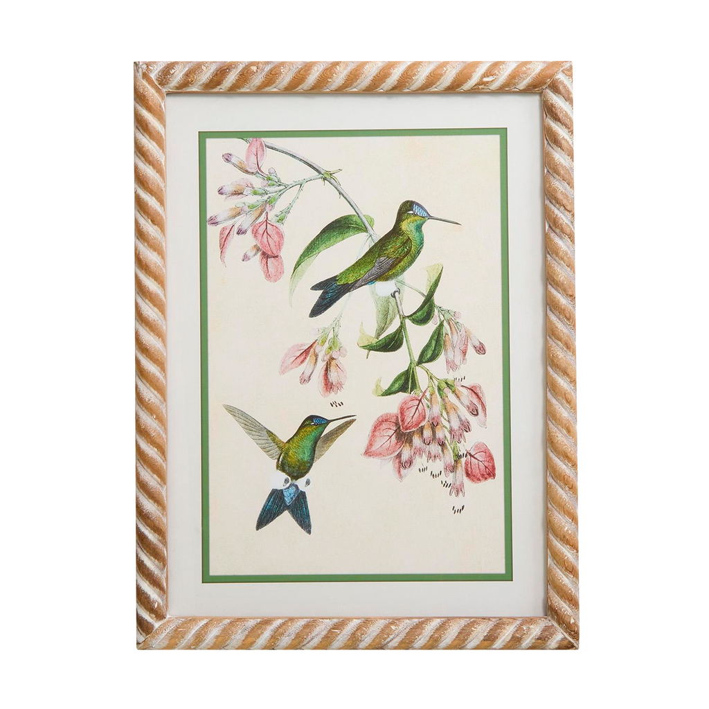 S4 Hummingbird Framed Wall Art Prints - The Well Appointed House