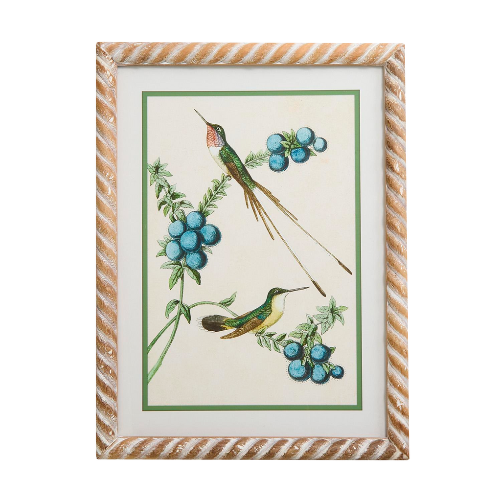 S4 Hummingbird Framed Wall Art Prints - The Well Appointed House