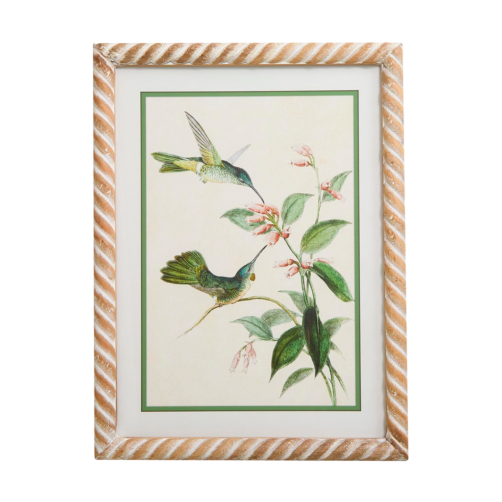 S4 Hummingbird Framed Wall Art Prints - The Well Appointed House