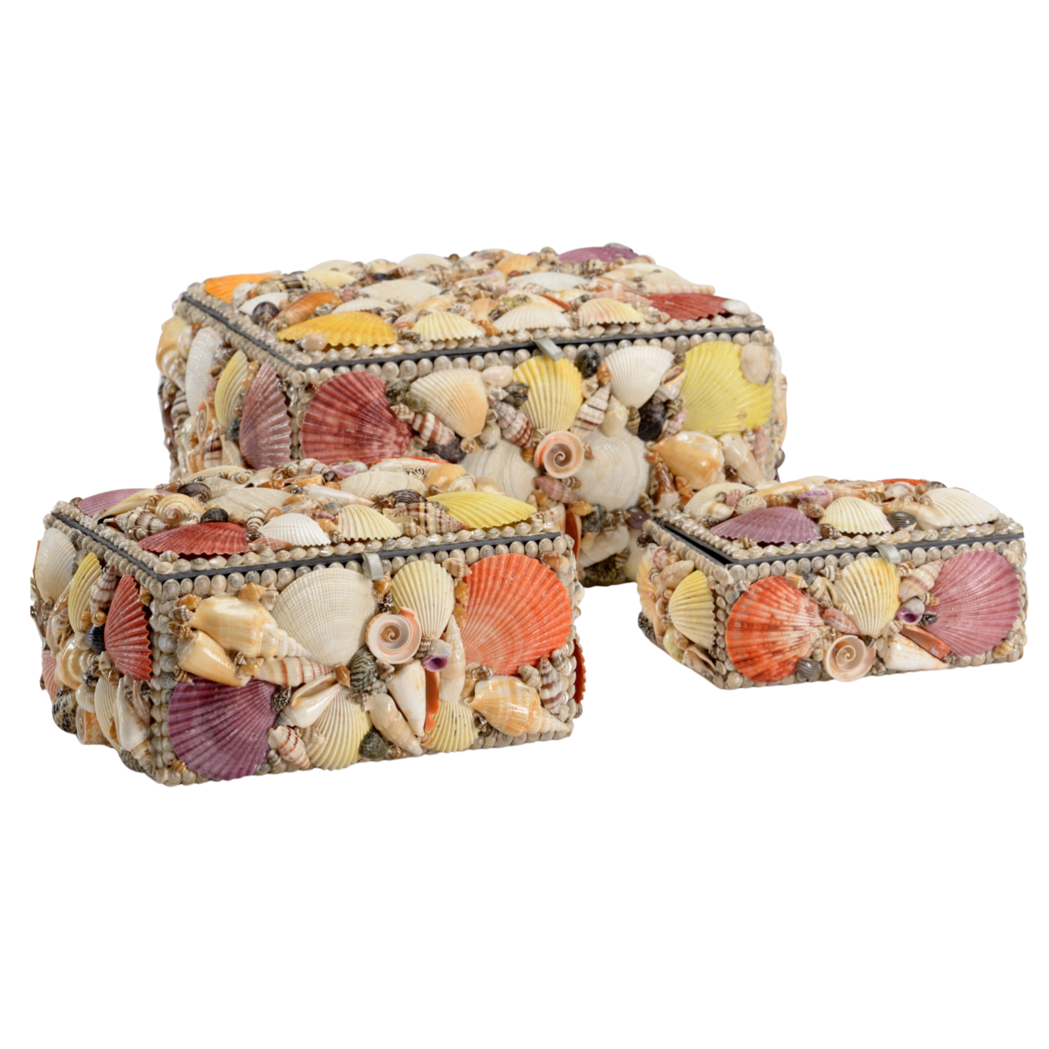 Set of 3 Natural Shell Boxes – The Well Appointed House