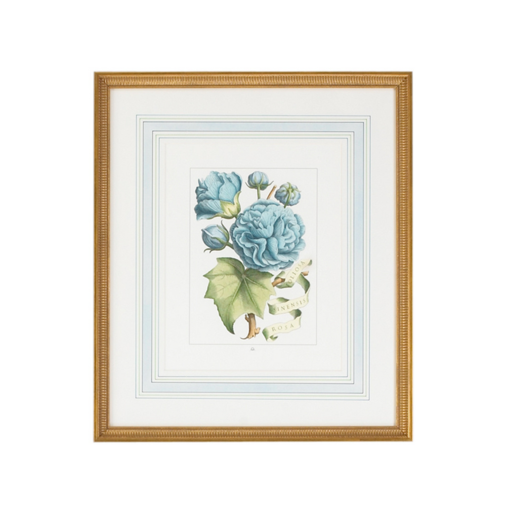 Set of Four Blue Flowers With Ribbon Botanical Wall Art Prints - The Well Appointed House