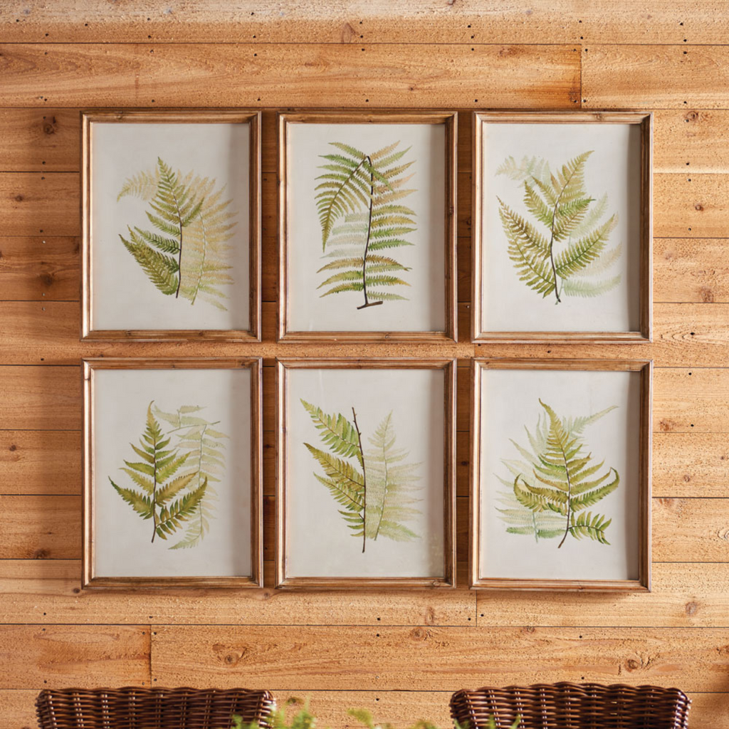 Set of Six Framed Ferns Botanical Wall Art - Paintings - The Well Appointed House