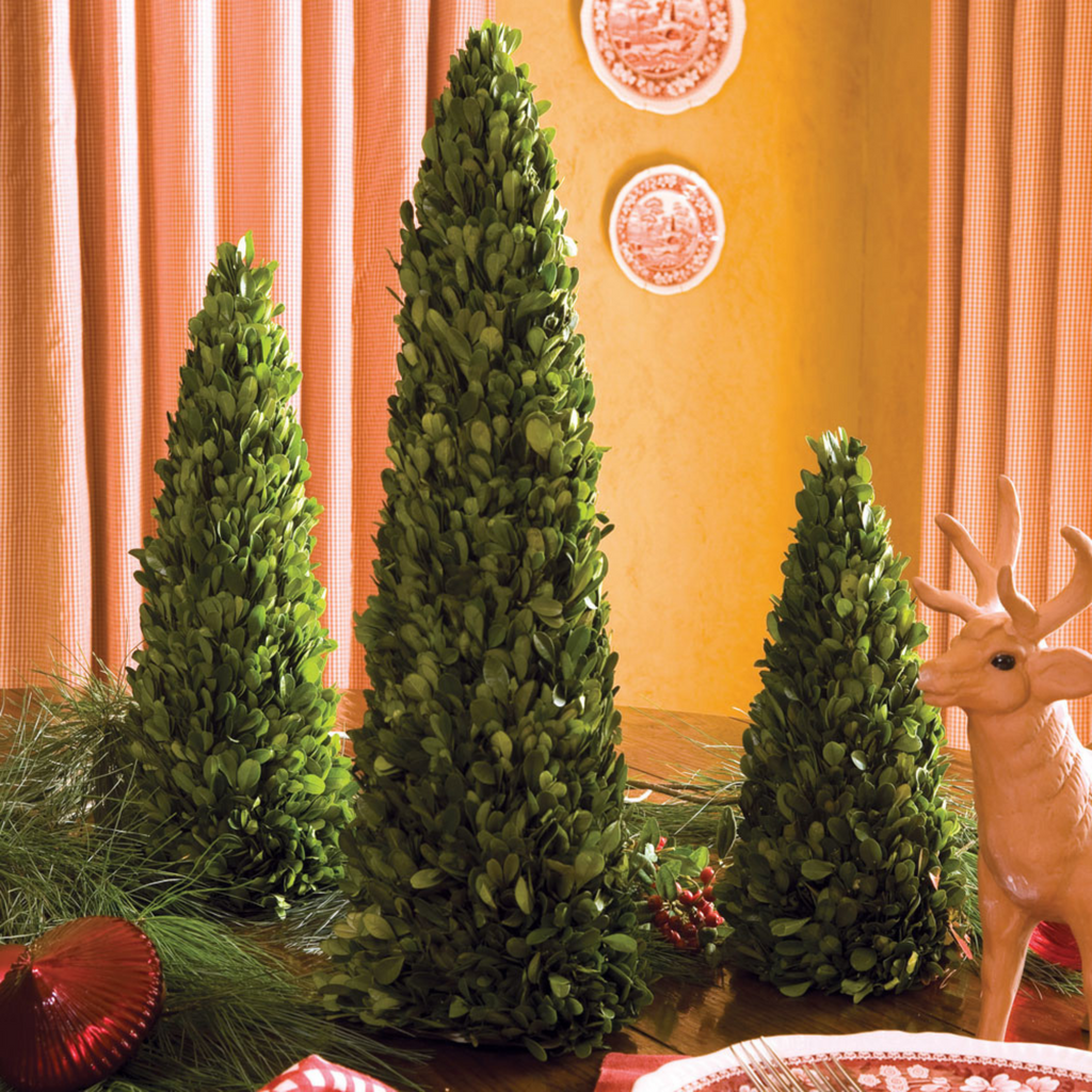 Set of Three Boxwood Mini Trees - The Well Appointed House