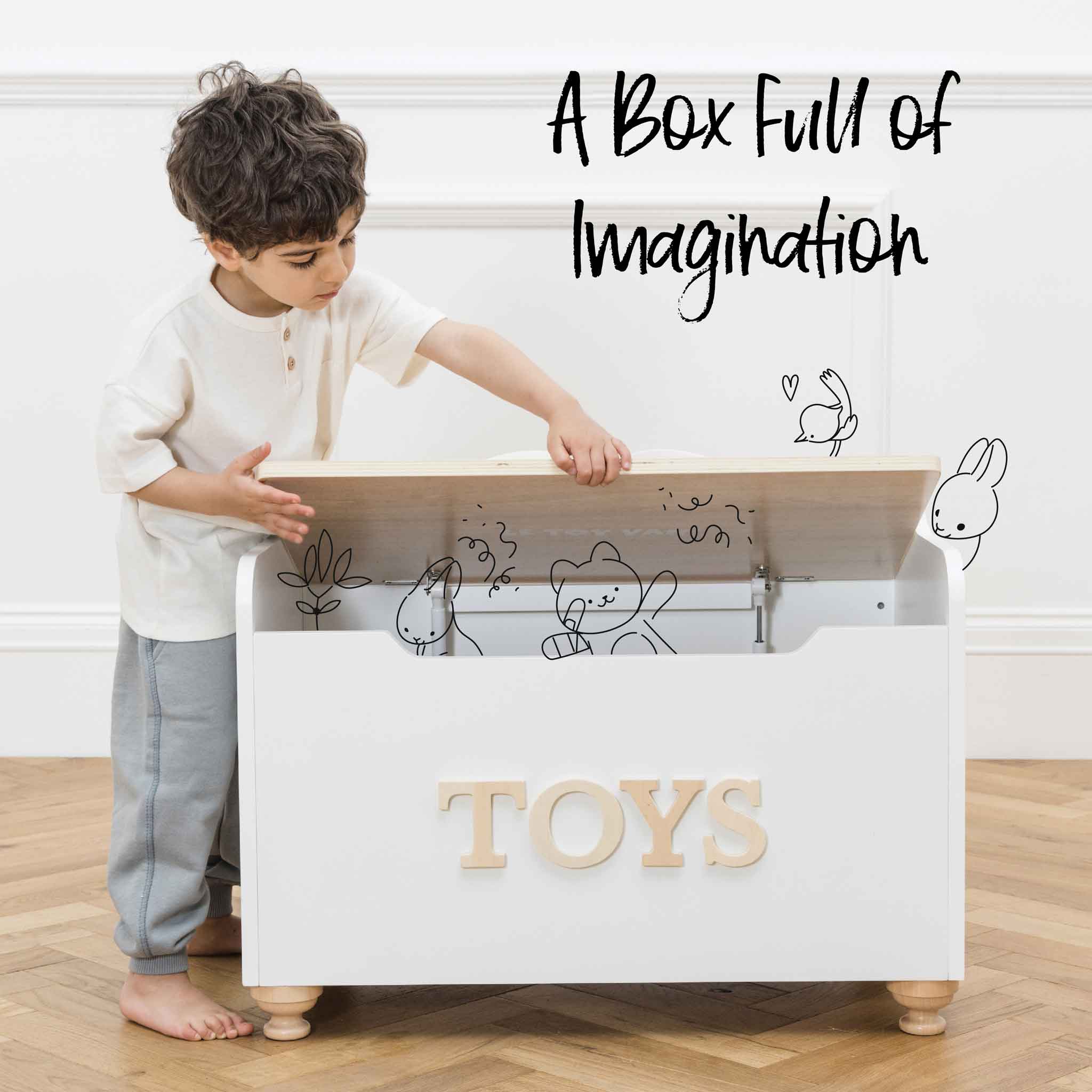Toy Box In House Toy Storage Box – The Well Appointed House