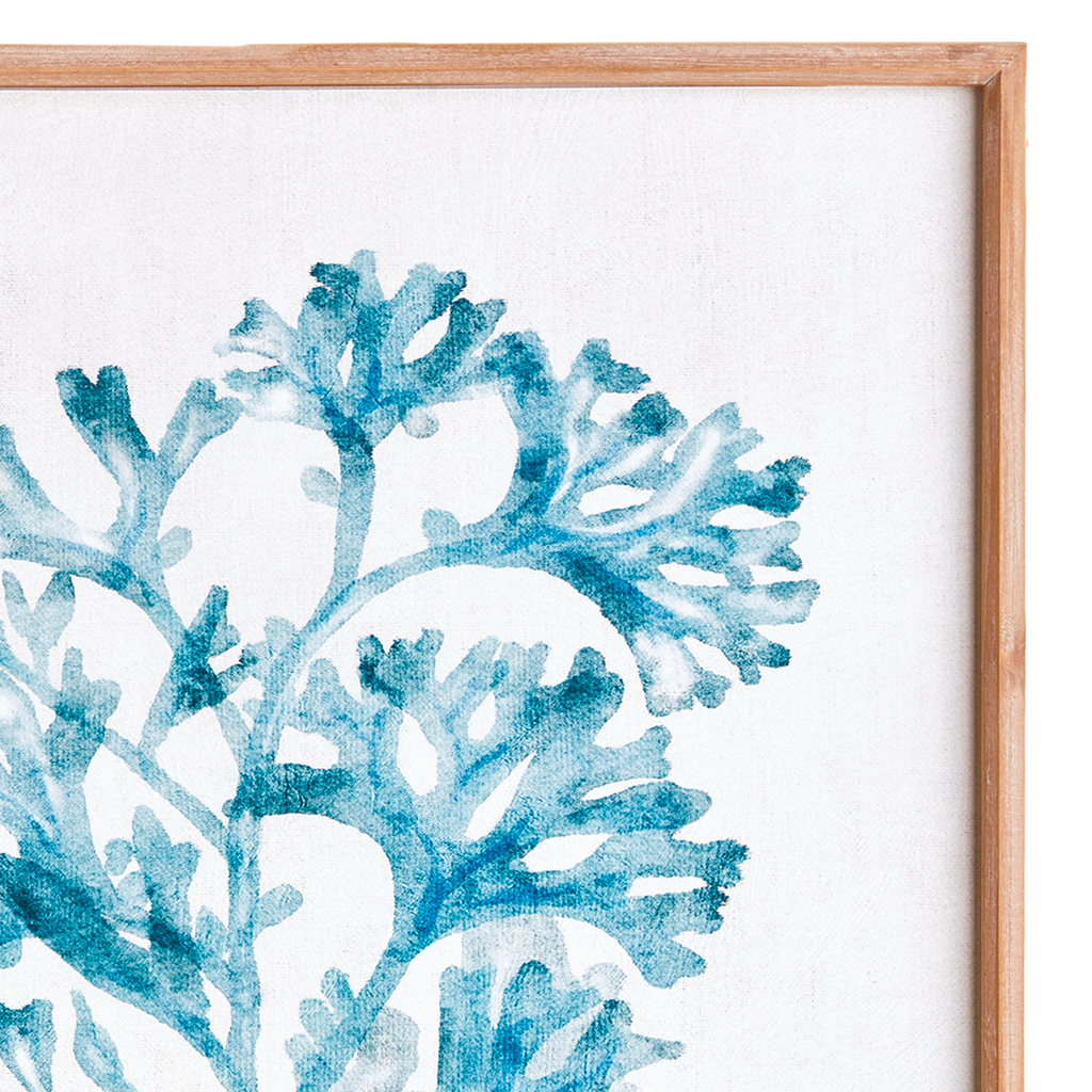 Translucent Coral Print - The Well Appointed House