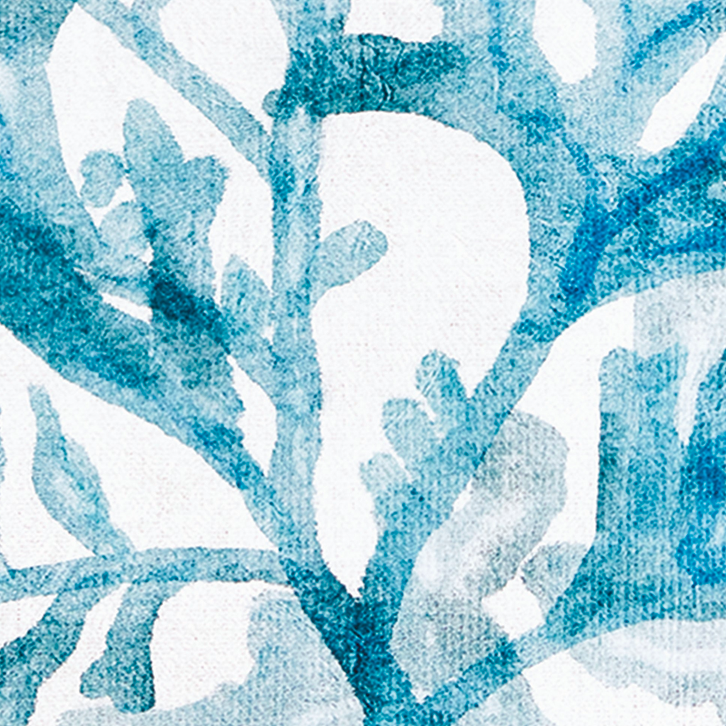 Translucent Coral Print - The Well Appointed House