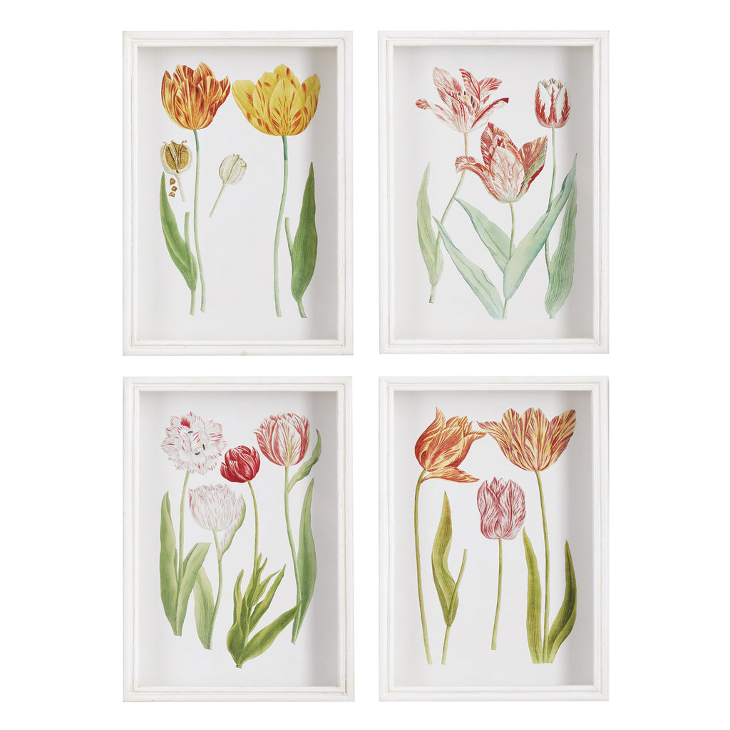 Tulip Prints - Set of 4 – The Well Appointed House