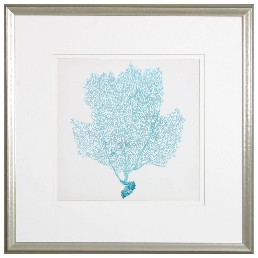 Aqua Sea Fan III Lithograph Wall Art in Silver Frame - Paintings - The Well Appointed House