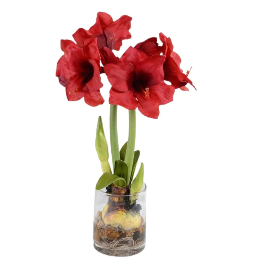 Amaryllis Plant Arrangement with Red Flowers - Florals & Greenery - The Well Appointed House